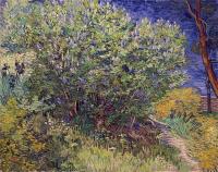 Gogh, Vincent van - Lilac Bush